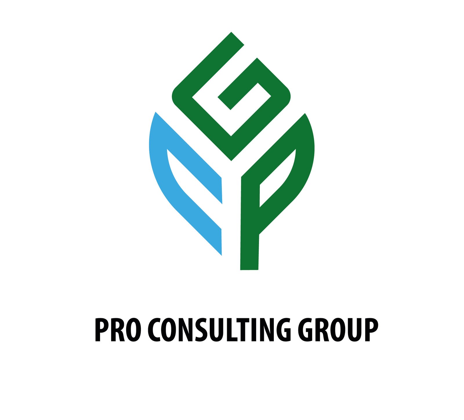 PCG Logo